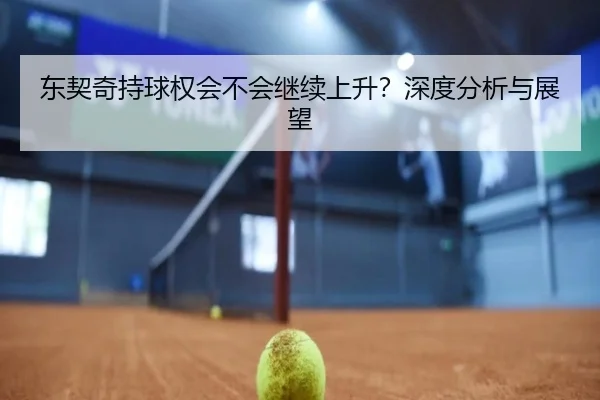 东契奇持球权会不会继续上升？深度分析与展望